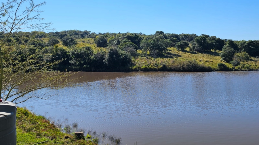 Commercial Property for Sale in Komga Rural Eastern Cape